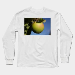 alb apple a day Long Sleeve T-Shirt